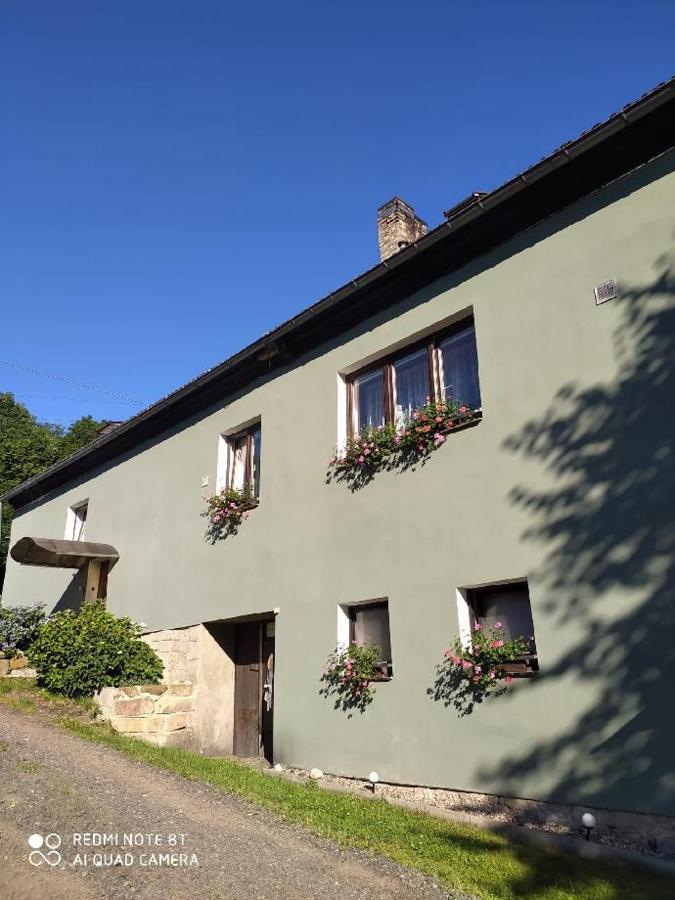Penzion U Lipy Decin Exterior photo