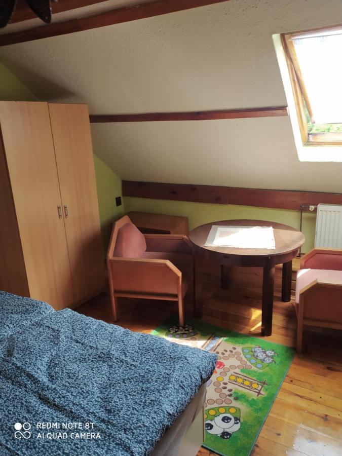 Penzion U Lipy Decin Exterior photo